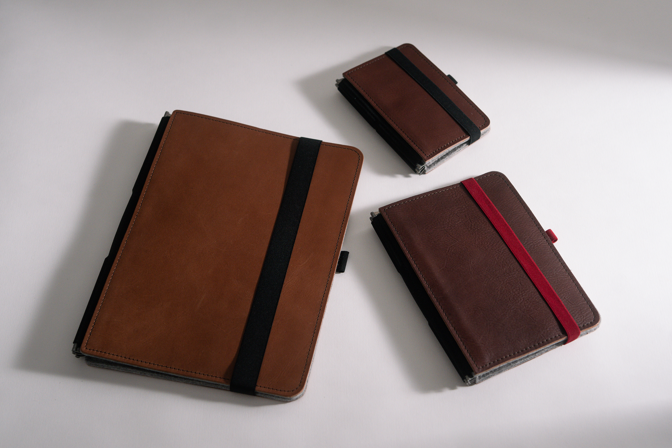 Taschenbegleiter BS_20