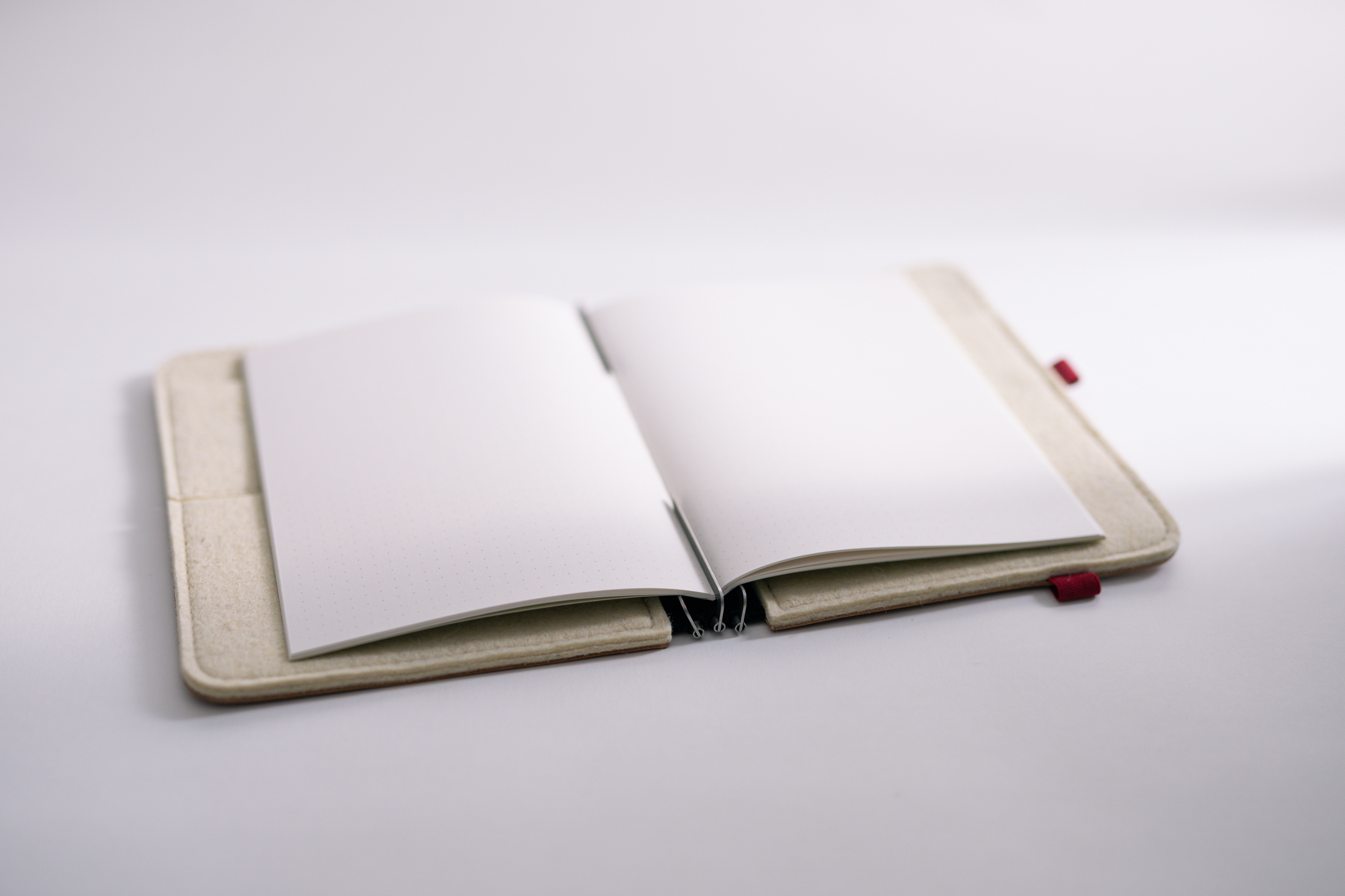 Taschenbegleiter LTD_036